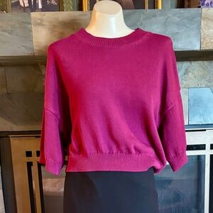 Banana Republic Purple Wine Pink Cropped Knit Sweater Top M NWOT